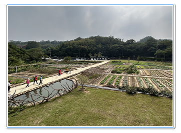 綠色農場涵蓋菜園、綠地、生態池及休憩平台等設施，亦運用廢棄木材結合居民創作裝置藝術