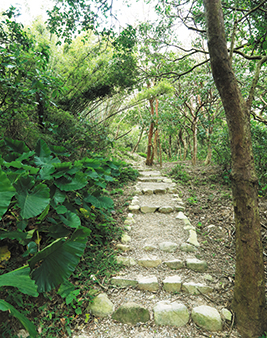 坡度較陡路段以乾砌石階梯疊砌, 兼顧生態及行走友善