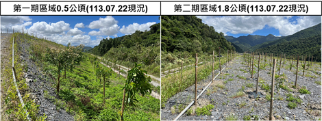 圖5、打狗溪集水區緩衝綠帶設置情況