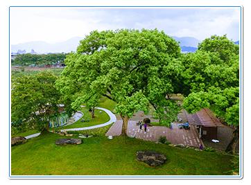 景石搭配排列為造景,更兼具親子遊憩功能