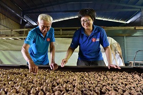 陳榮留（左）、陳昀鎂期待更多在地青年投入傳承傳統烘焙龍眼乾技藝的行列。