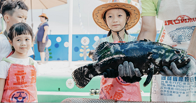 石斑魚抱抱秀極受大小遊客歡迎。