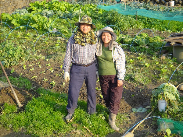 大北坑社區小農在地深耕,重新打造茶香家園。