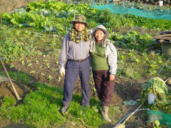 大北坑社區小農在地深耕，重新打造茶香家園。