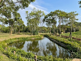 「苗栗市茶產業跨域省水經營示範工程」，將廢木遍地的荒地重整為蓄水滯洪池農塘。