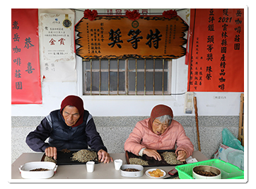 嵩岳日曬咖啡豆有淡淡榛果香，口感如奶油般甜潤滑順。（楊智仁攝）