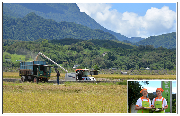 羅山休區是花蓮縣富里鄉稻米種植的核心區域。