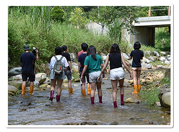 桃米休區遍布溪流、溼地、瀑布,所有美好事物幾乎都與水有關。(桃米休區提供)