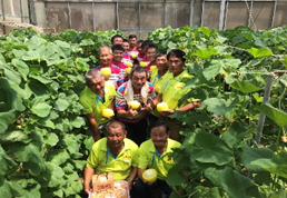 嘉義縣太保市後庄社區