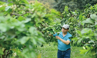 宜蘭縣冬山鄉林長輝
