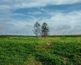 澎湖縣湖西鄉 湖東社區