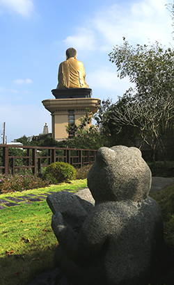 大佛背後的禪意花園