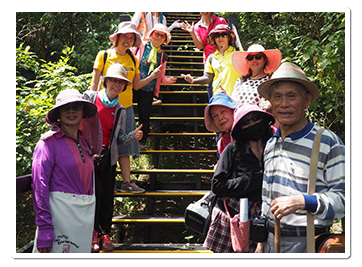 通往櫻花林與生態公園的木棧道創造更友善社區高齡者的步行動線