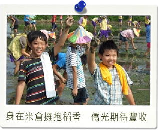 僑光國小學童體驗種稻照片