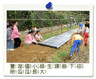 豐湖國小師生下田照片