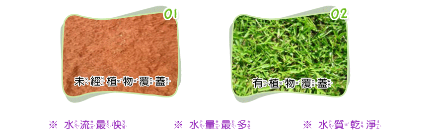 不同區域的土壤澆水器沖刷之後比較圖